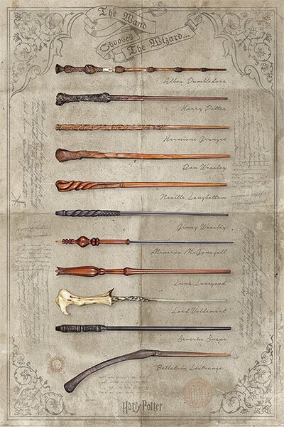 Plakát Harry Potter - The Wand Chooses The Wizard, (61 x 91 cm)