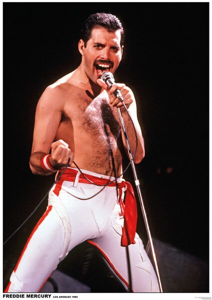 Plakát Queen (Freddie Mercury) - Los Angeles 1982