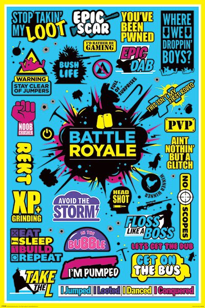 Plakát Battle Royale - Infographic