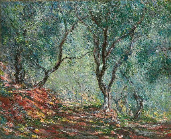 Monet, Claude - Reprodukció Olive Trees in the Moreno Garden; Bois d'oliviers au jardin Moreno, (40 x 35 cm)