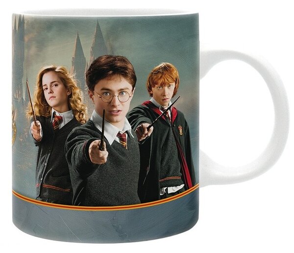 Bögre Harry Potter - Harry & Co