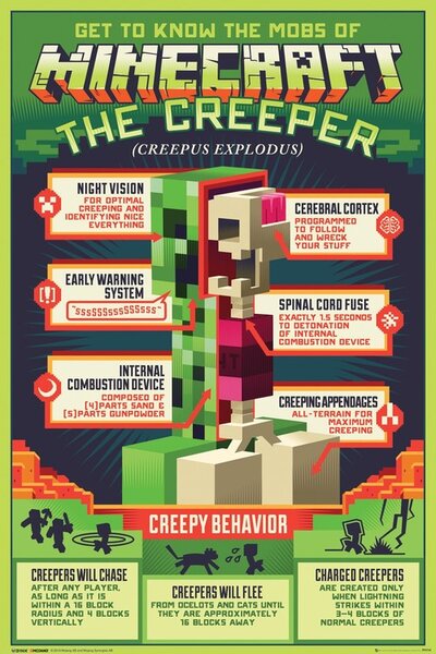 Plakát Minecraft - Creepy Behaviour, (61 x 91.5 cm)