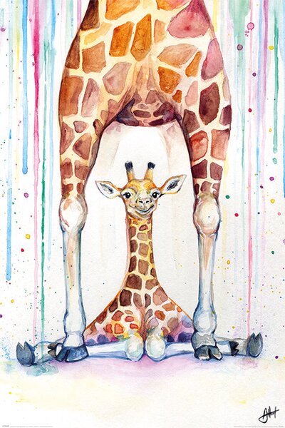Plakát Marc Allante - Gorgeous Giraffes, (61 x 91.5 cm)
