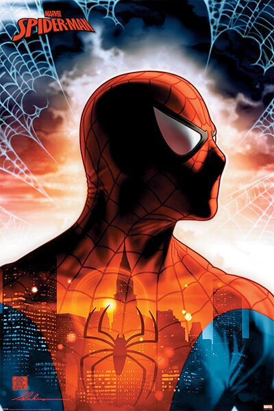 Plakát Spider-Man - Protector Of The City, (61 x 91.5 cm)