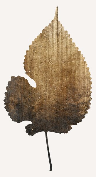 Illusztráció Golden Leaf, Kubistika, (26.7 x 40 cm)