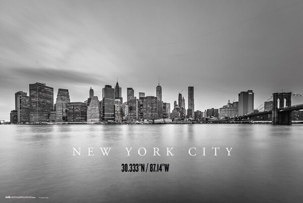Plakát New York City Skyline, (91 x 61.5 cm)