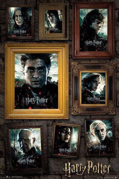 Plakát Harry Potter - Portré, (61 x 91.5 cm)