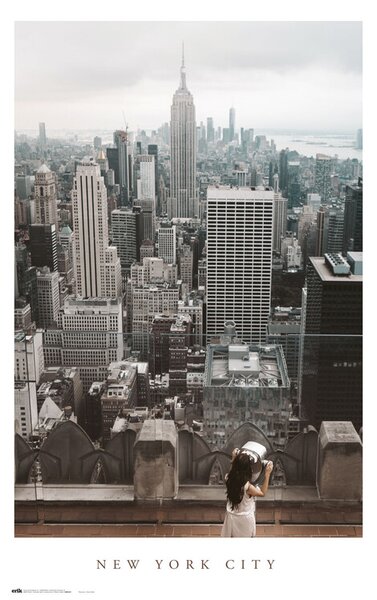 Plakát New York City Views
