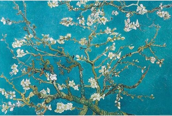 Plakát Mandulavirágok, (91.5 x 61 cm)