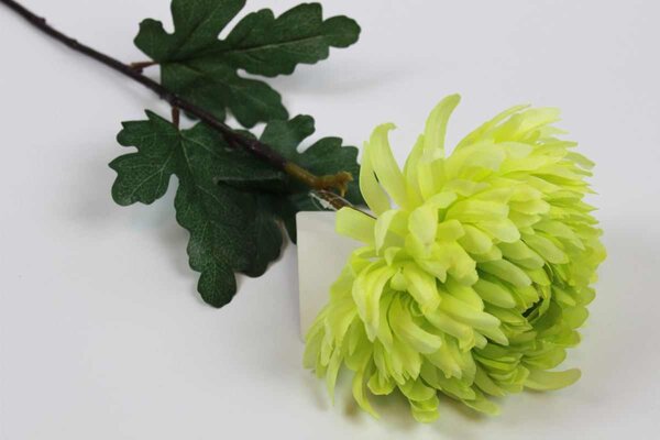 Zöld mű virágzó krizantém 83cm
