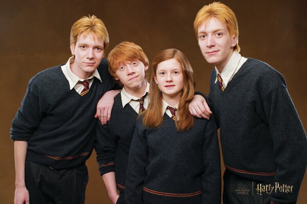 Művészi plakát Harry Potter - Weasley family, (40 x 26.7 cm)