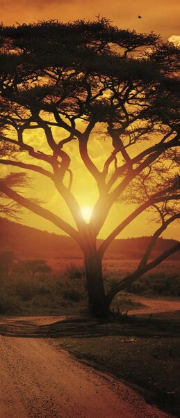 Poszter tapéta ajtóra Africa Sunset vlies 91 x 211 cm vlies 91 x 211 cm