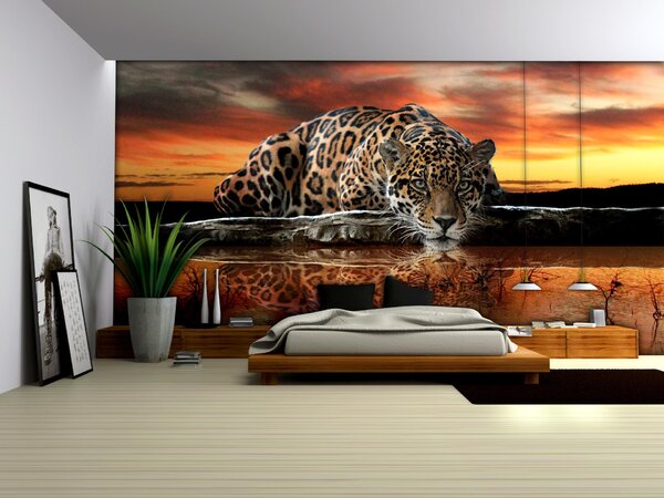 Poszter tapéta Jaguár papír 254 x 184 cm papír 254 x 184 cm