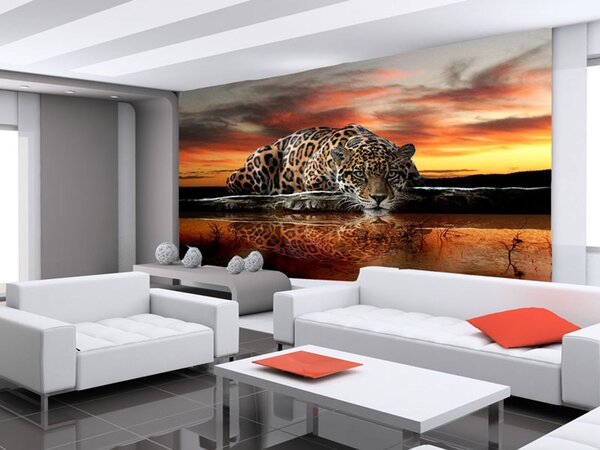 Poszter tapéta Jaguár papír 254 x 184 cm papír 254 x 184 cm