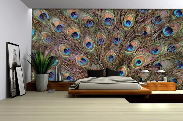 Poszter tapéta Pávatoll vlies 208 x 146 cm vlies 208 x 146 cm