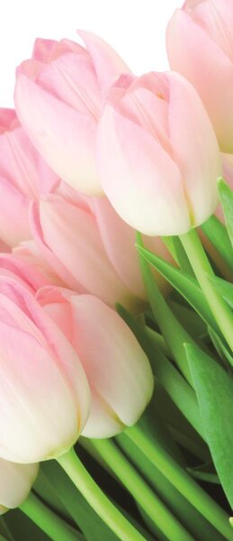 Poszter tapéta ajtóra Bouquet of tulips öntapadós 91 x 211 cm öntapadós 91 x 211 cm