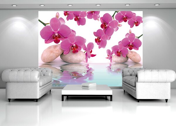 Poszter tapéta Orchid vlies 152,5 x 104 cm vlies 152,5 x 104 cm