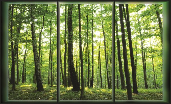 Poszter tapéta Erdő - kilátás az ablakból vlies 152,5 x 104 cm vlies 152,5 x 104 cm