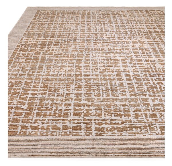 Bézs szőnyeg 120x160 cm Anders Beige Natural – Asiatic Carpets