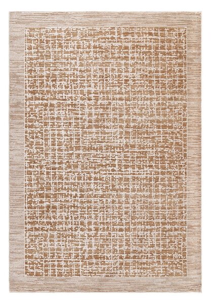 Bézs szőnyeg 120x160 cm Anders Beige Natural – Asiatic Carpets