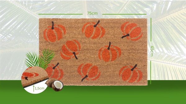 Lábtörlő 45x75 cm Mix Mats – Hanse Home