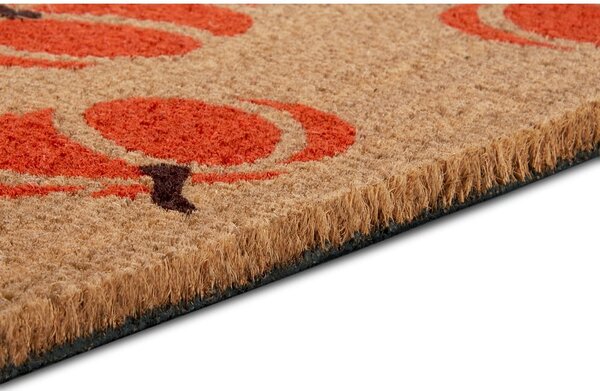 Lábtörlő 45x75 cm Mix Mats – Hanse Home