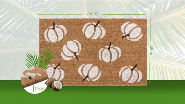 Lábtörlő 45x75 cm Mix Mats – Hanse Home