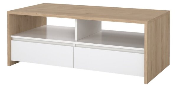 Fehér-natúr színű dohányzóasztal 60x120 cm Next – Tvilum