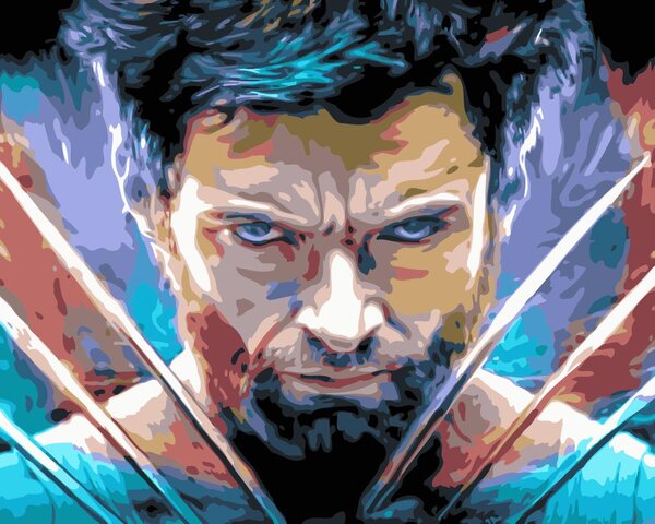 Festés számok szerint kép kerettel "Wolverine" 40x50 cm