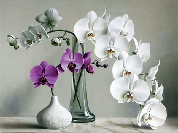Festés számok szerint kép kerettel "Orchidea" 40x50 cm