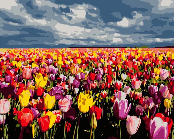 Festés számok szerint kép kerettel "Tulipánmező" 40x50 cm