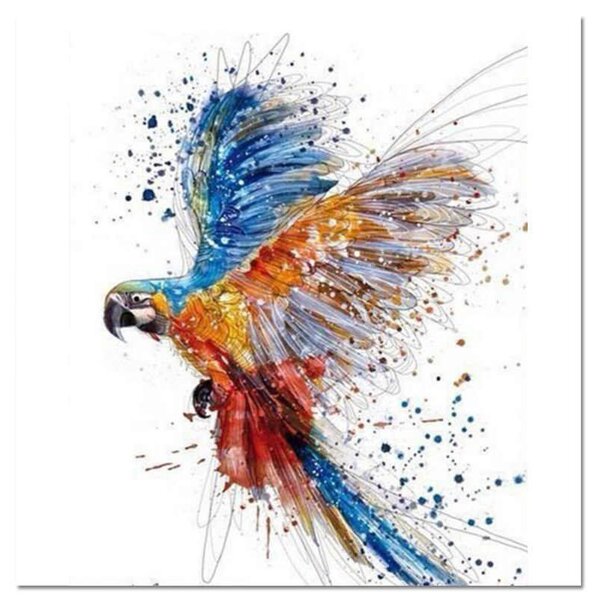 Festés számok szerint kép kerettel "Papagáj" 40x50 cm