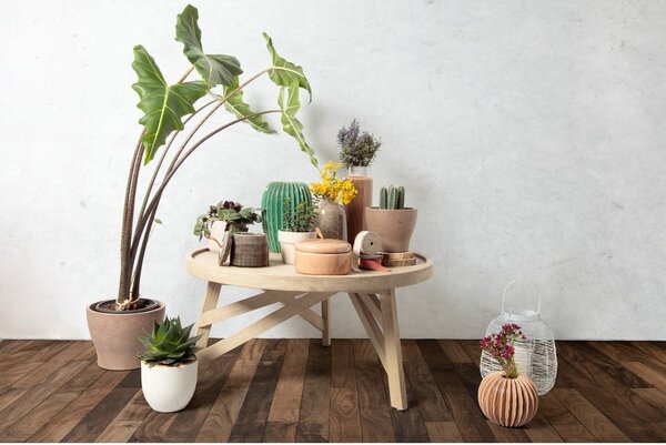 Thais mindifa dohányzóasztal, ø 80 cm - Kave Home