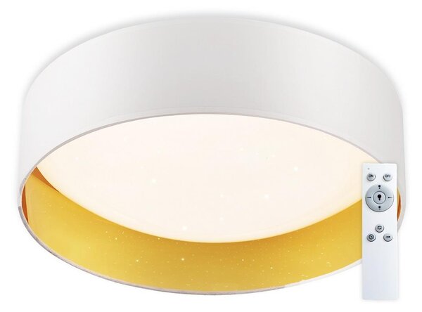 Top Light Top Light - LED Dimmelhető mennyezeti lámpa LED/24W/230V +dálkové irányítás fehér TP1657