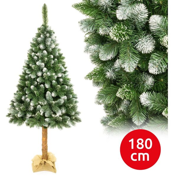 Elma Karácsonyfa tönkön 180 cm fenyő EA0006