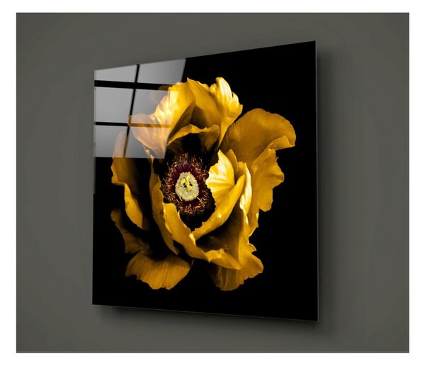 Rustenna fekete-sárga üvegkép, 40 x 40 cm - Insigne
