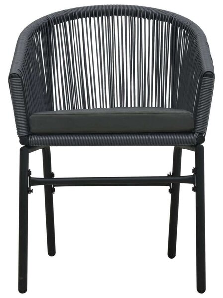 VidaXL Kert Szék - PE Rattan - Antracitszürke - 2 db