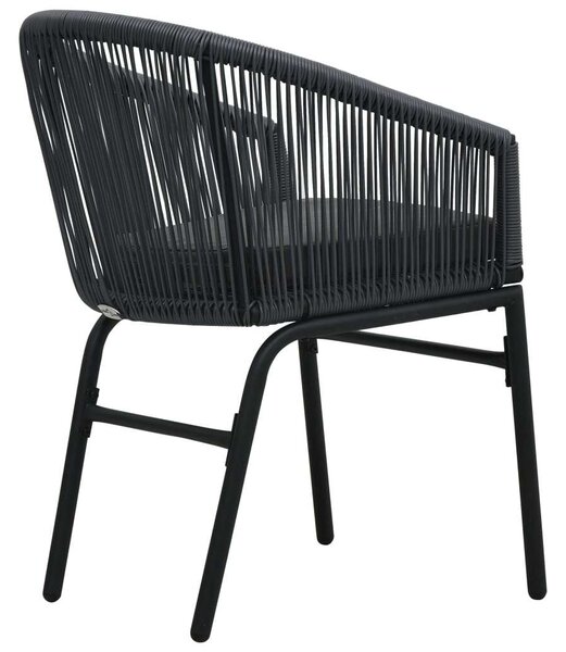 VidaXL Kert Szék - PE Rattan - Antracitszürke - 2 db