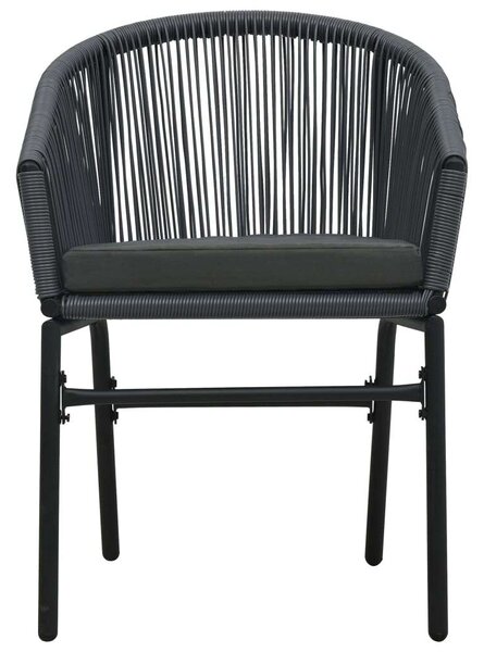 VidaXL Kert Szék - PE Rattan - Antracitszürke - 2 db