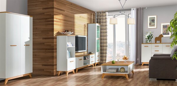 TV asztal/szekrény Sverdon SV5