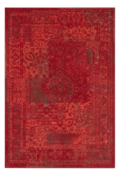 Celebration Plume piros szőnyeg, 80 x 150 cm - Hanse Home