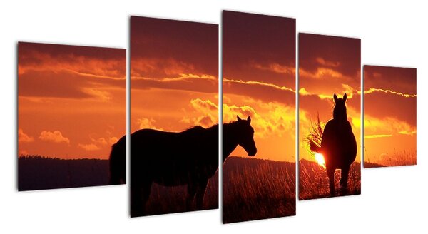 Kép - lovak, napnyugtakor (150x70cm)