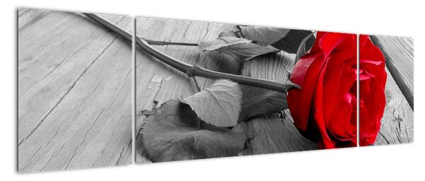 Kép - rózsa, piros virág (170x50cm)