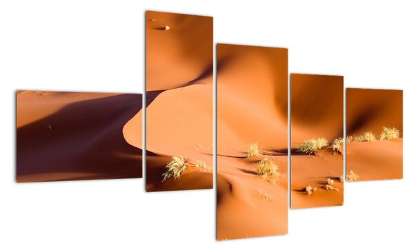 Kép - sivatagi, dűnék (150x85cm)