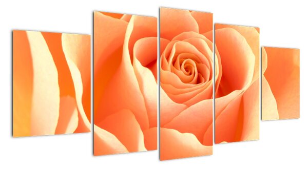 Kép - narancs, roses (150x70cm)