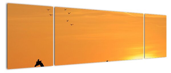 Modern kép - zsiráfok (170x50cm)