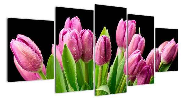 Kép - tulipán (150x70cm)