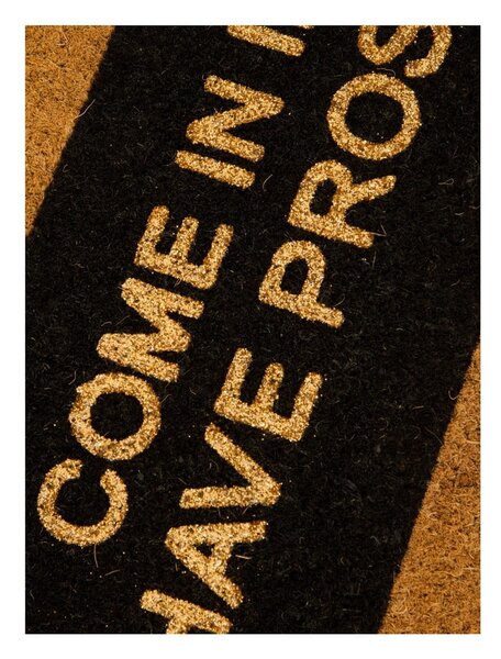 Come In If You Have Prosecco Glitter természetes kókuszrost lábtörlő, 40 x 60 cm - Artsy Doormats
