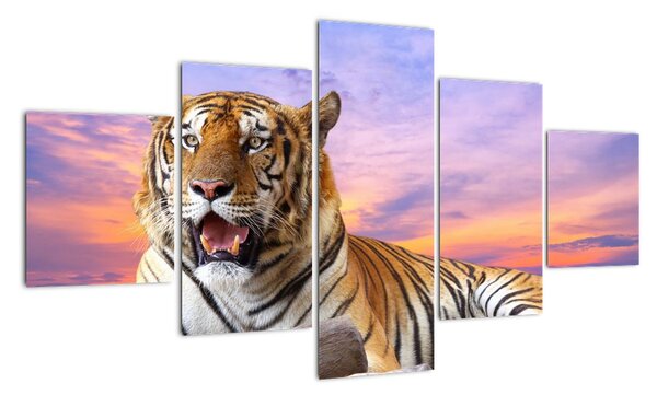 Kép - fekvő, tigris (125x70cm)