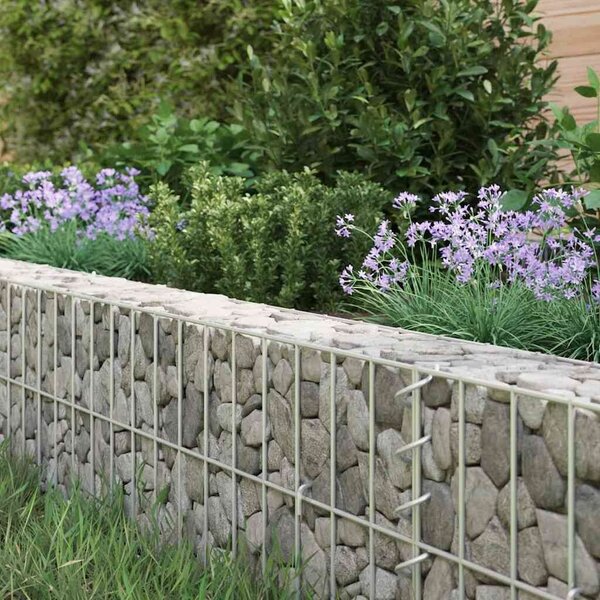 VidaXL Gabion Magaságyás - 100x20x1000 cm